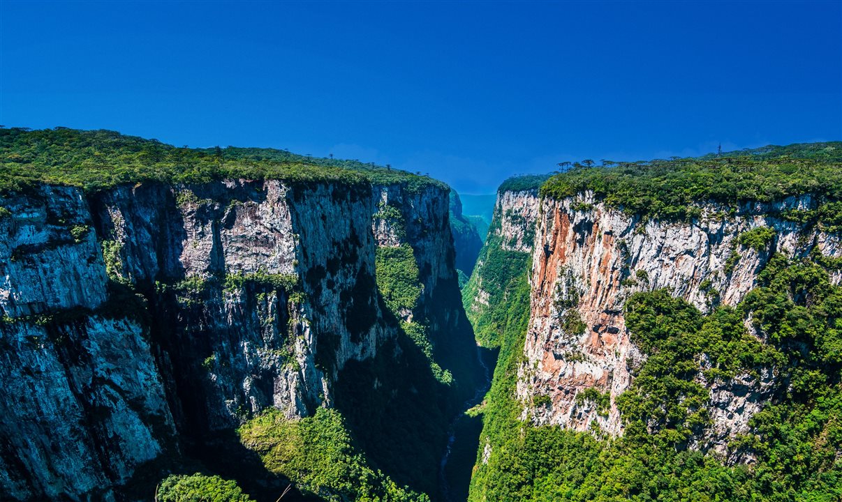  Com a Azul Viagens seu cliente pode comprar um pacote completo com aéreo, hotel e Ingressos para Natal Luz com benefícios exclusivos