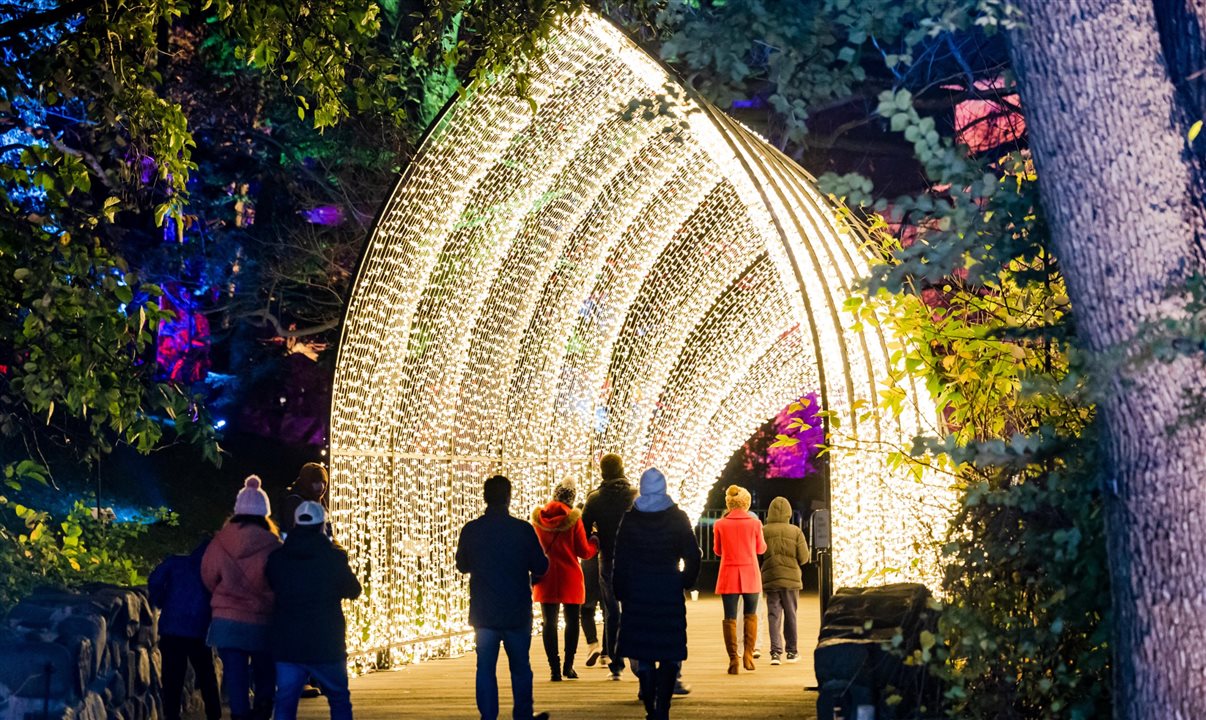 Celebre a época de festas no Winter Wonder at the Garden