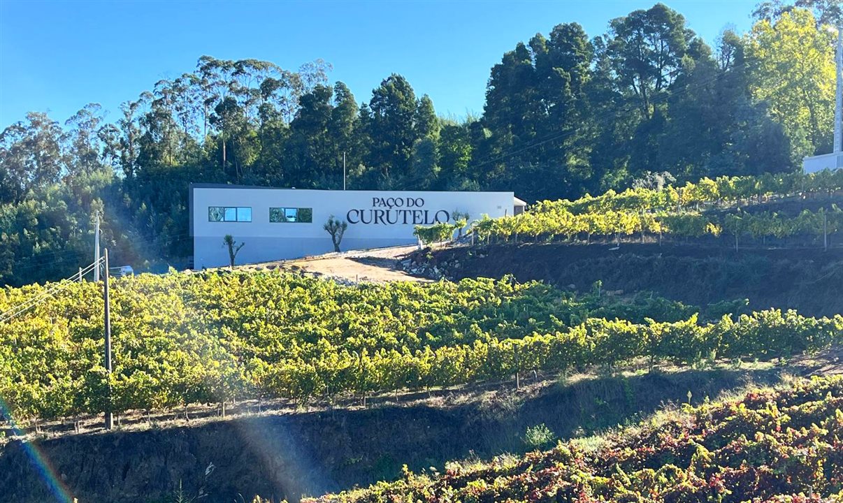 Paço do Curutelo abrange 57 hectares, e conta com cerca de 13 hectares de vinhedos já plantados