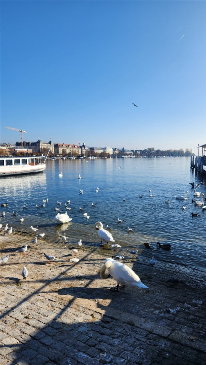 Rio Limmat corta cidade de Zurique, na Suíça