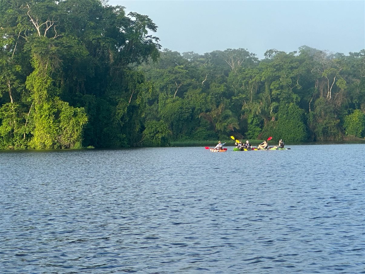 Crocodilo avistado durante passeio de barco no Parque Nacional Tortuguero