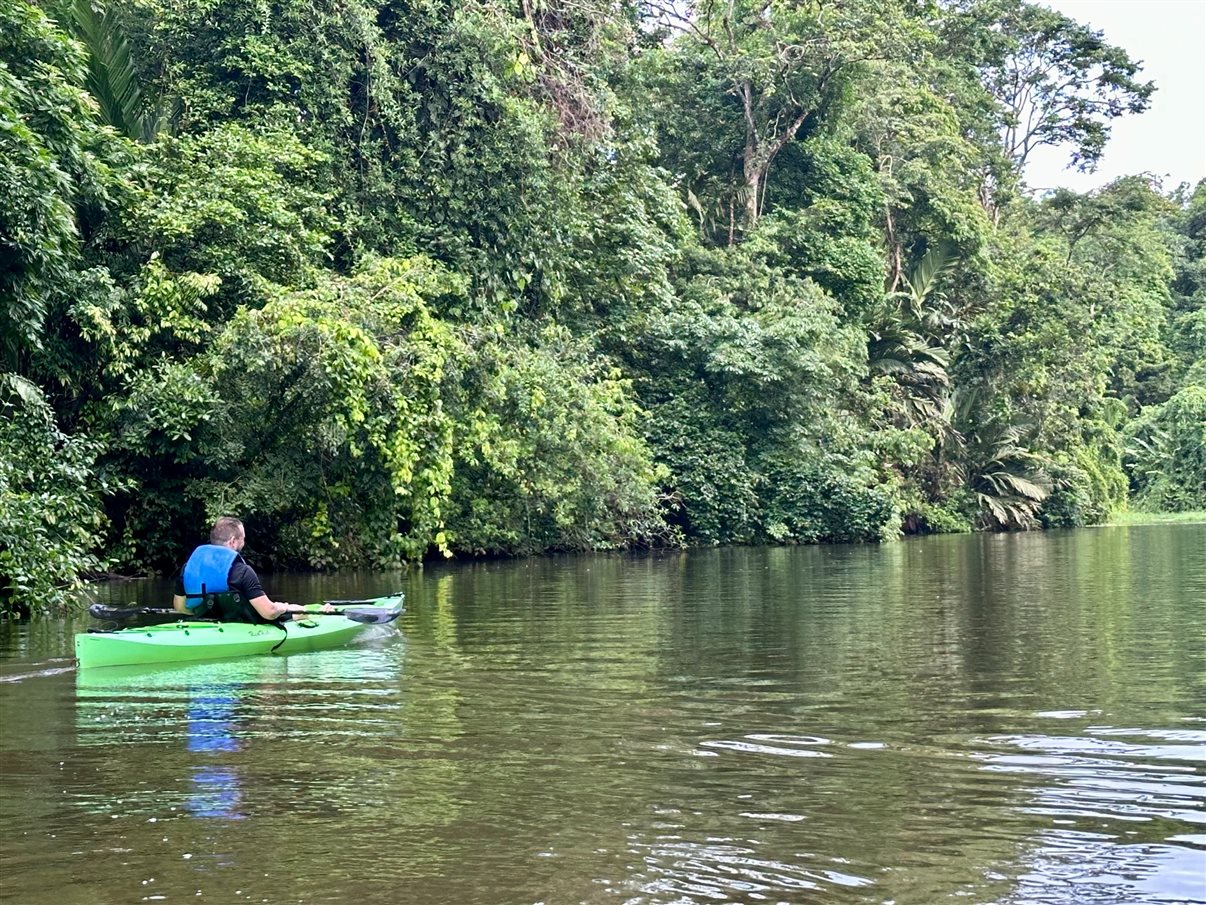 Crocodilo avistado durante passeio de barco no Parque Nacional Tortuguero