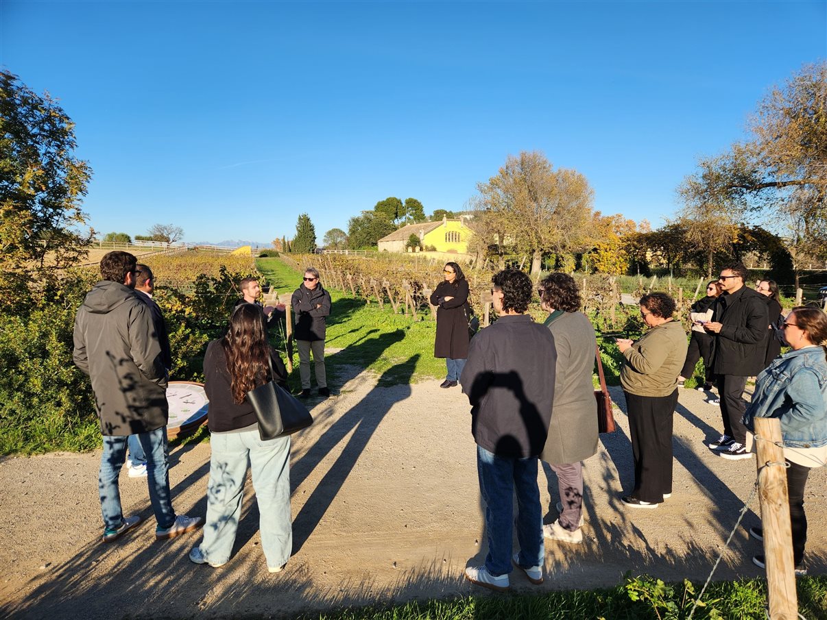 Almoço que harmonizou pratos e vinhos