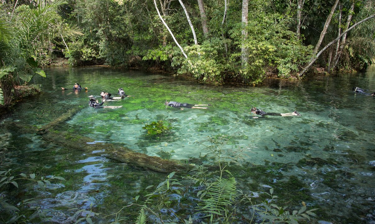 Flutuação é uma das melhores maneiras de conhecer o ecoturismo de Bonito, portanto é o principal atrativo da cidade