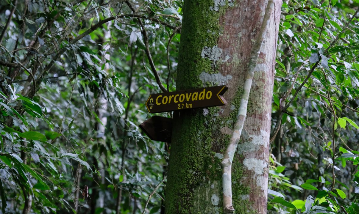 Plano de investimentos inclui melhorias na visitação ao Corcovado