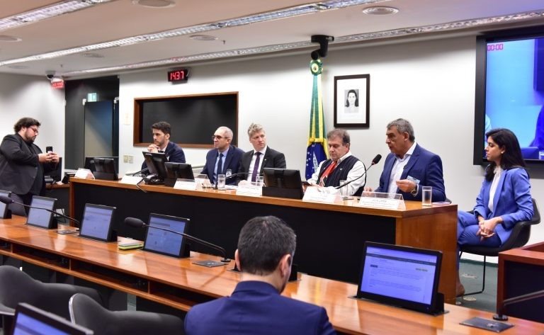 Comissão Externa sobre Danos Causados pelas Enchentes no Rio Grande do Sul