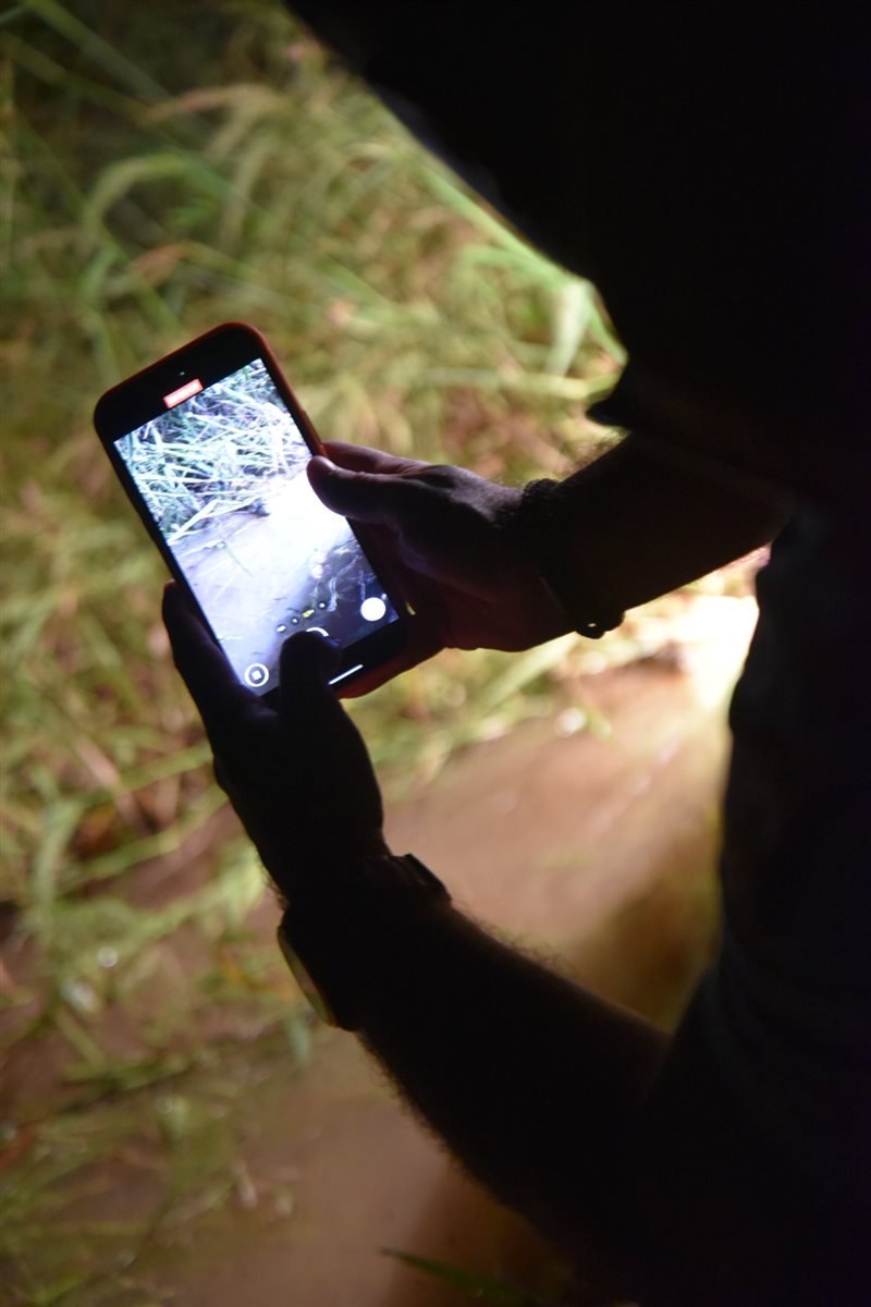 Todos preparados para o passeio noturno