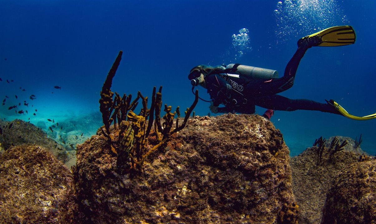 Parque Nacional Coiba 