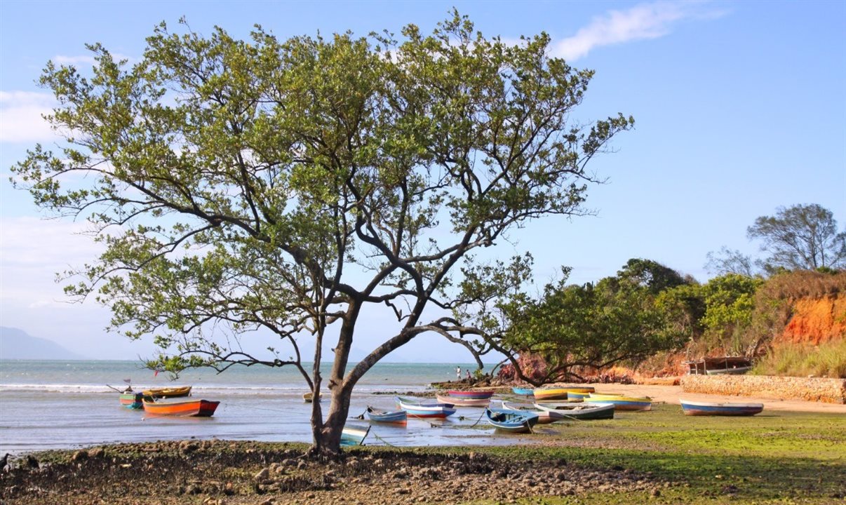 Armação dos Búzios, na Costa do Sol do Rio de Janeiro