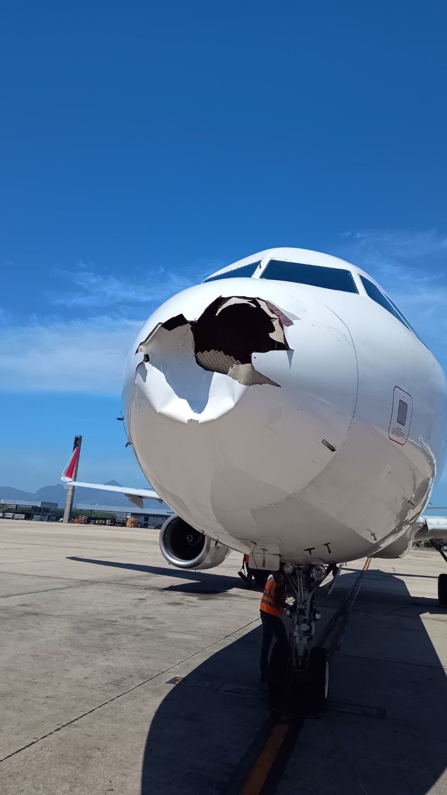 Resultado de mais um bird strike na aviação