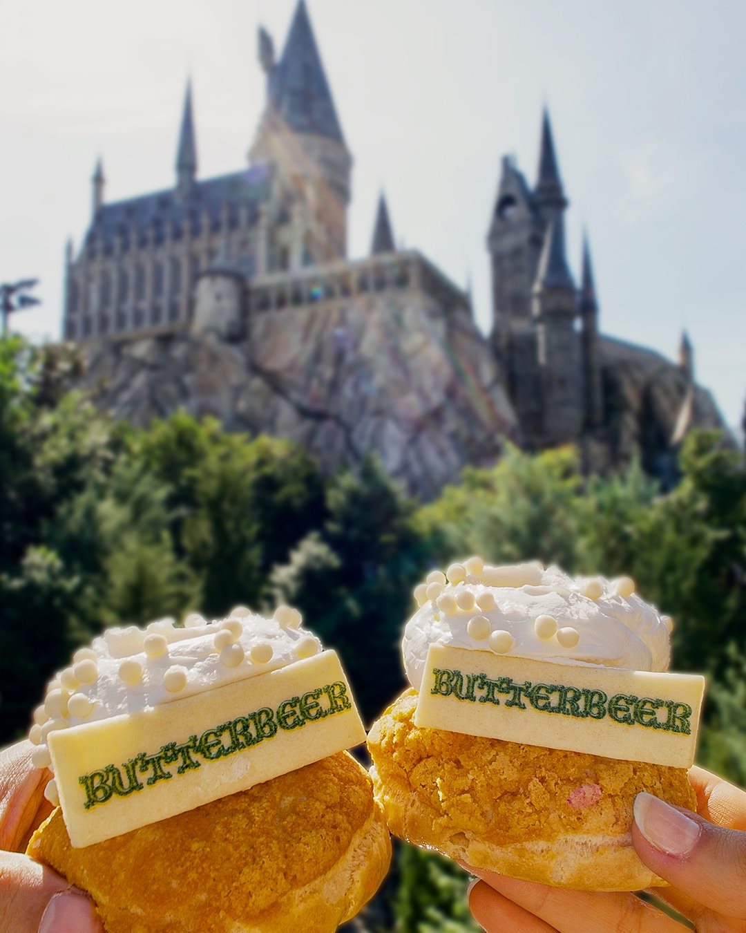 A celebração deste ano apresentará o Butterbeer Cream Puff, uma novidade limitada, disponível no Three Broomsticks, onde os visitantes também podem saborear Butterbeer frozen em uma caneca Gold Souvenir