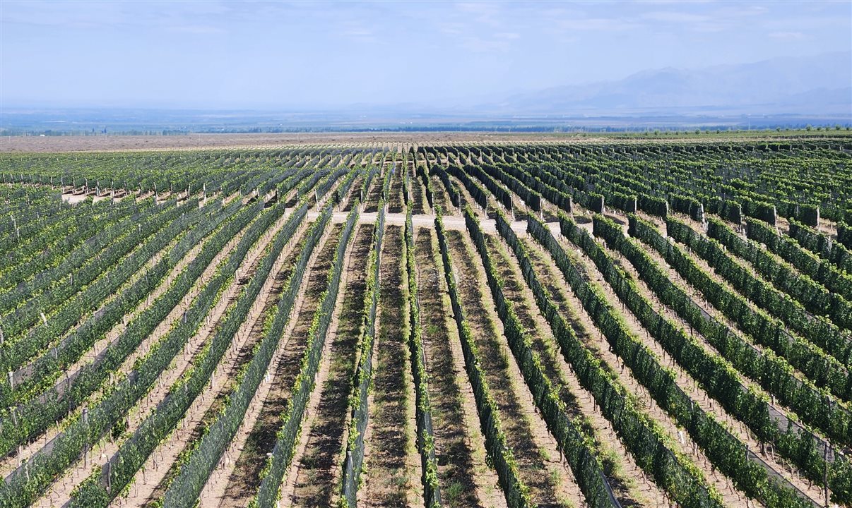 Vinícola da premiada Huentala Wines, no Vale do Uco