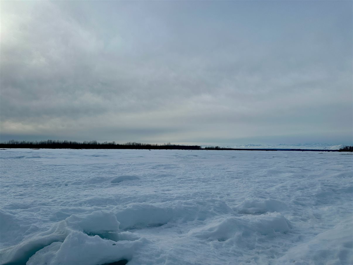 O Alaskan Husky Adventures conta com mais de 50 cachorros da raça Husky do Alasca