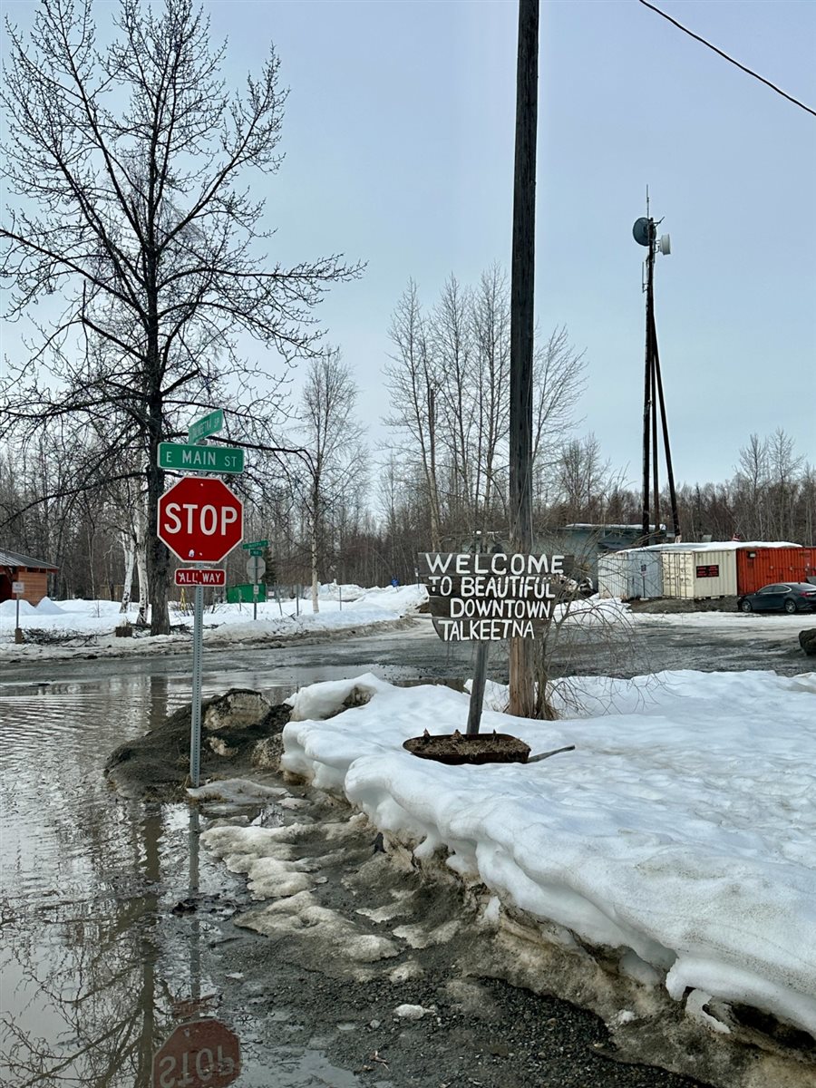 O Alaskan Husky Adventures conta com mais de 50 cachorros da raça Husky do Alasca