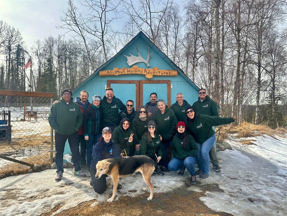 O Alaskan Husky Adventures conta com mais de 50 cachorros da raça Husky do Alasca