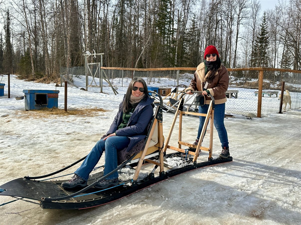 O Alaskan Husky Adventures conta com mais de 50 cachorros da raça Husky do Alasca