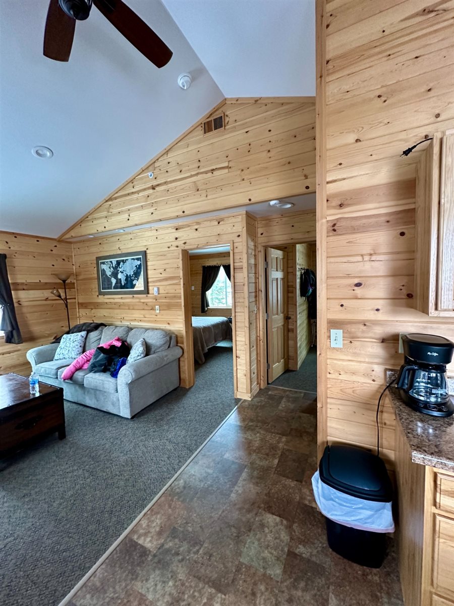 O Alaskan Husky Adventures conta com mais de 50 cachorros da raça Husky do Alasca