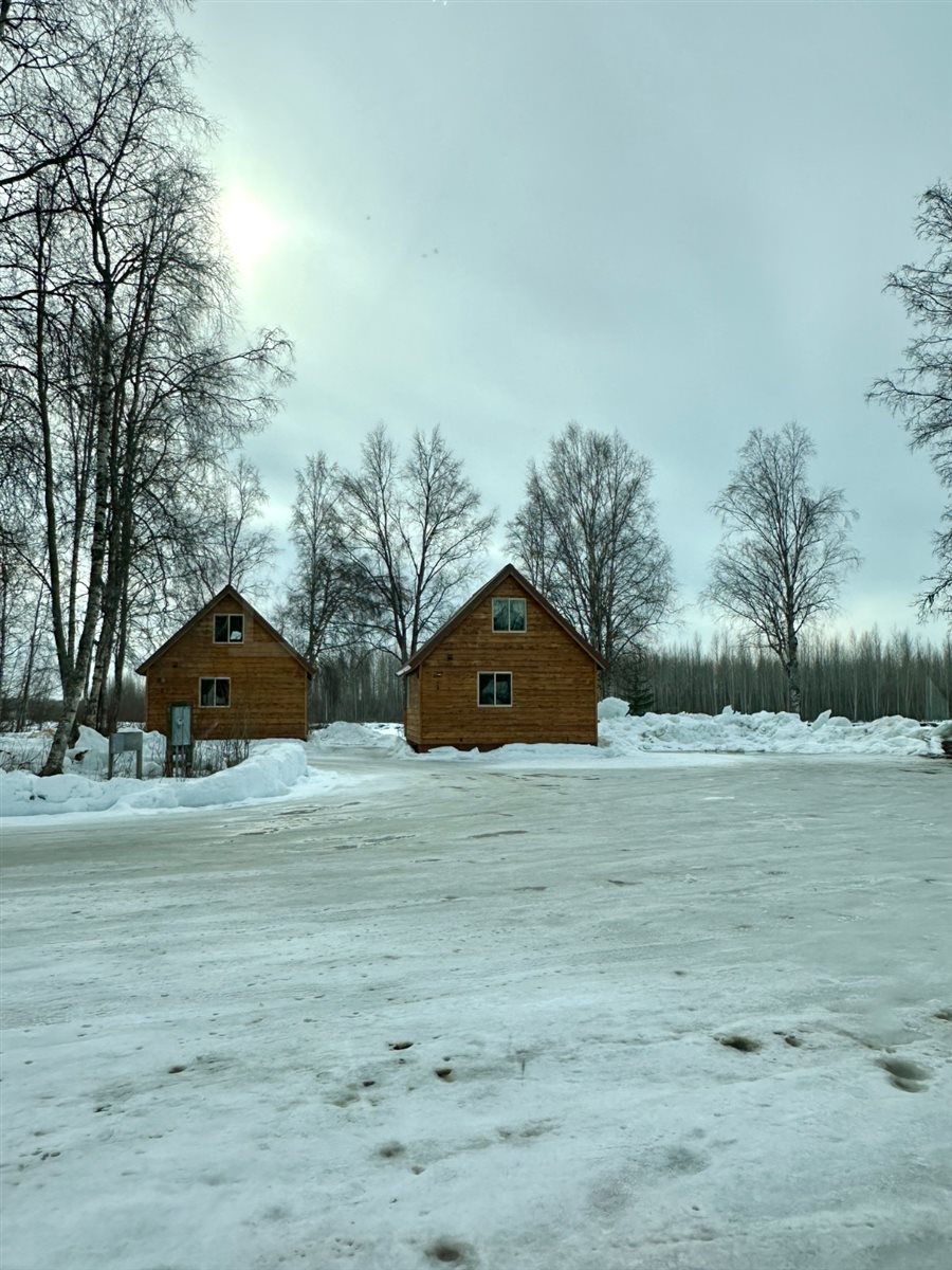 O Alaskan Husky Adventures conta com mais de 50 cachorros da raça Husky do Alasca