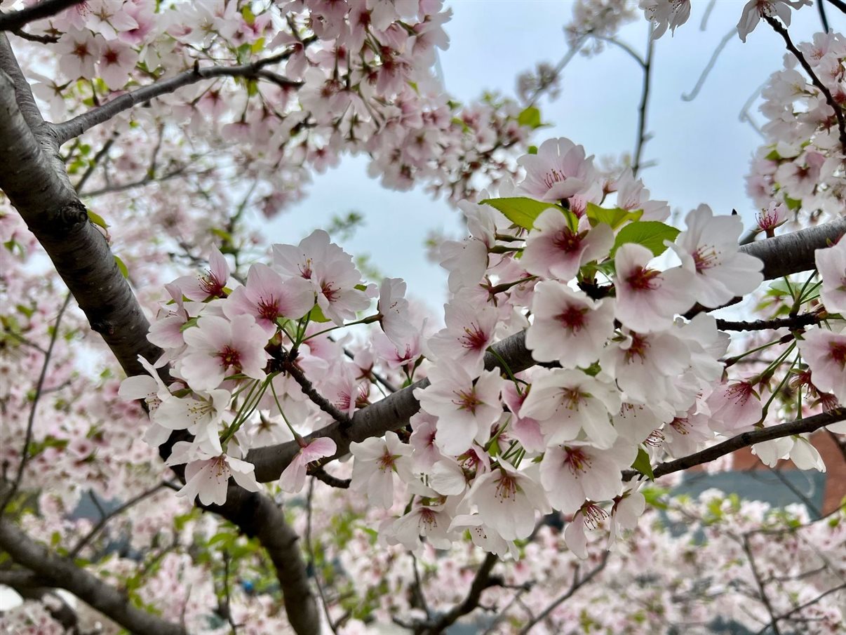 Grupo conheceu a equipe do Destination DC