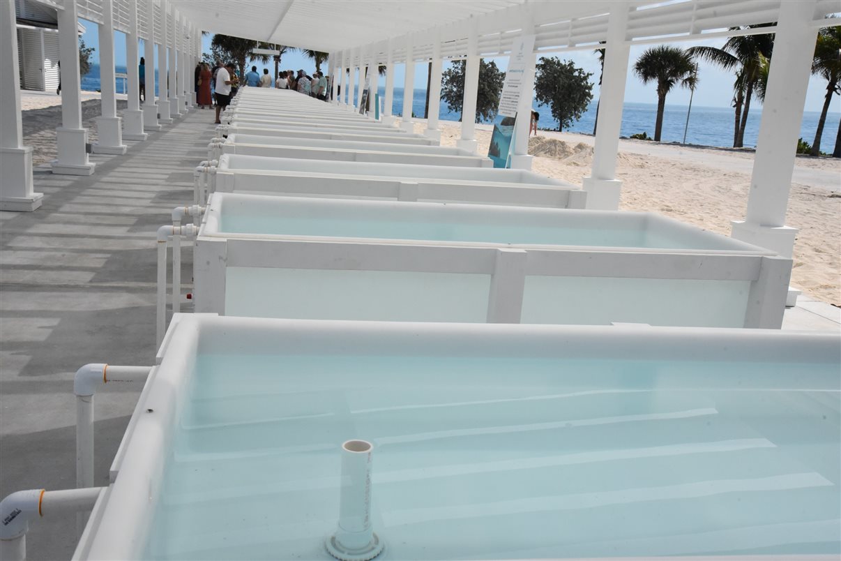 A MSC Foundation criou, dentro da Ocean Cay, um espaço para mostrar e divulgar as ações que realiza