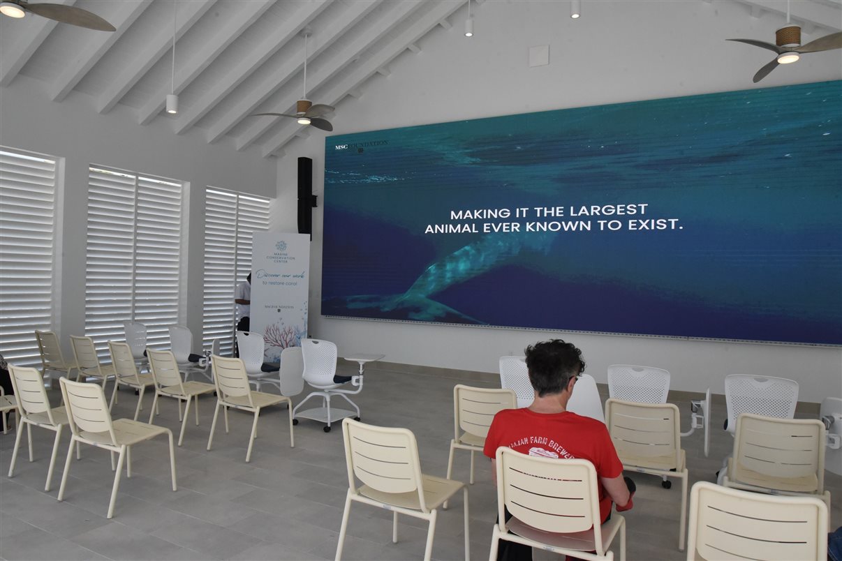 A MSC Foundation criou, dentro da Ocean Cay, um espaço para mostrar e divulgar as ações que realiza