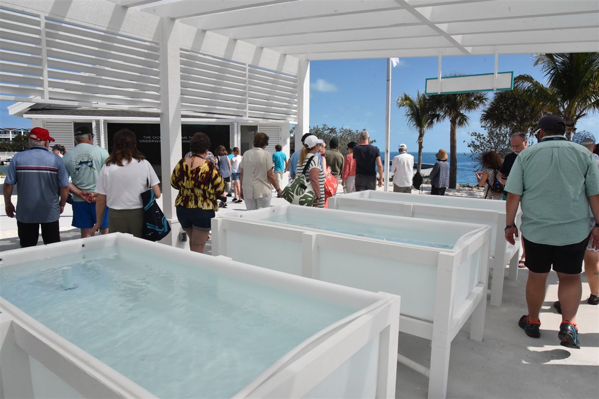 A MSC Foundation criou, dentro da Ocean Cay, um espaço para mostrar e divulgar as ações que realiza