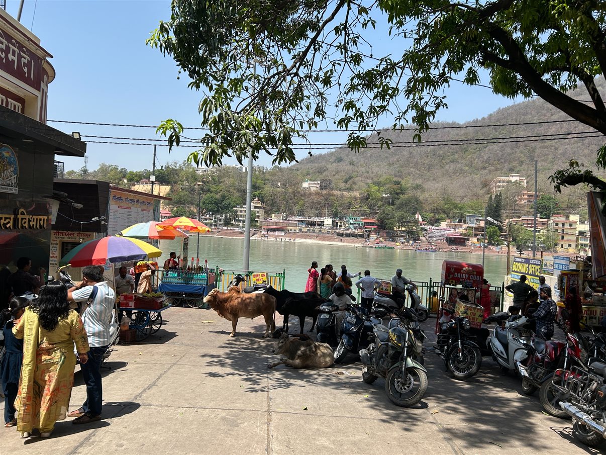 Tony Saad, da Ânima Viagens, se sentiu conectado com o Ganges e tirou alguns minutos para meditar e mergulhar no rio