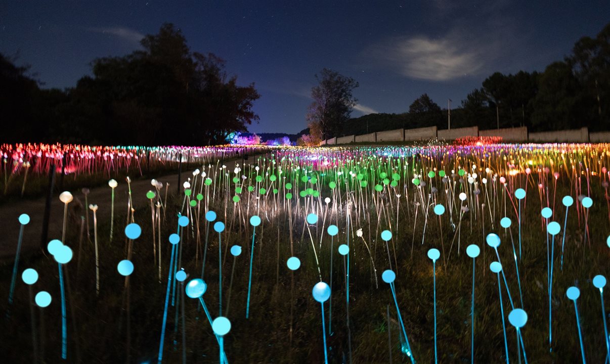 Lumni Experience terá campo iluminado, jardim das tulipas, túnel de luzes e um complexo de gastronomia com cenários e ambientes instagramáveis