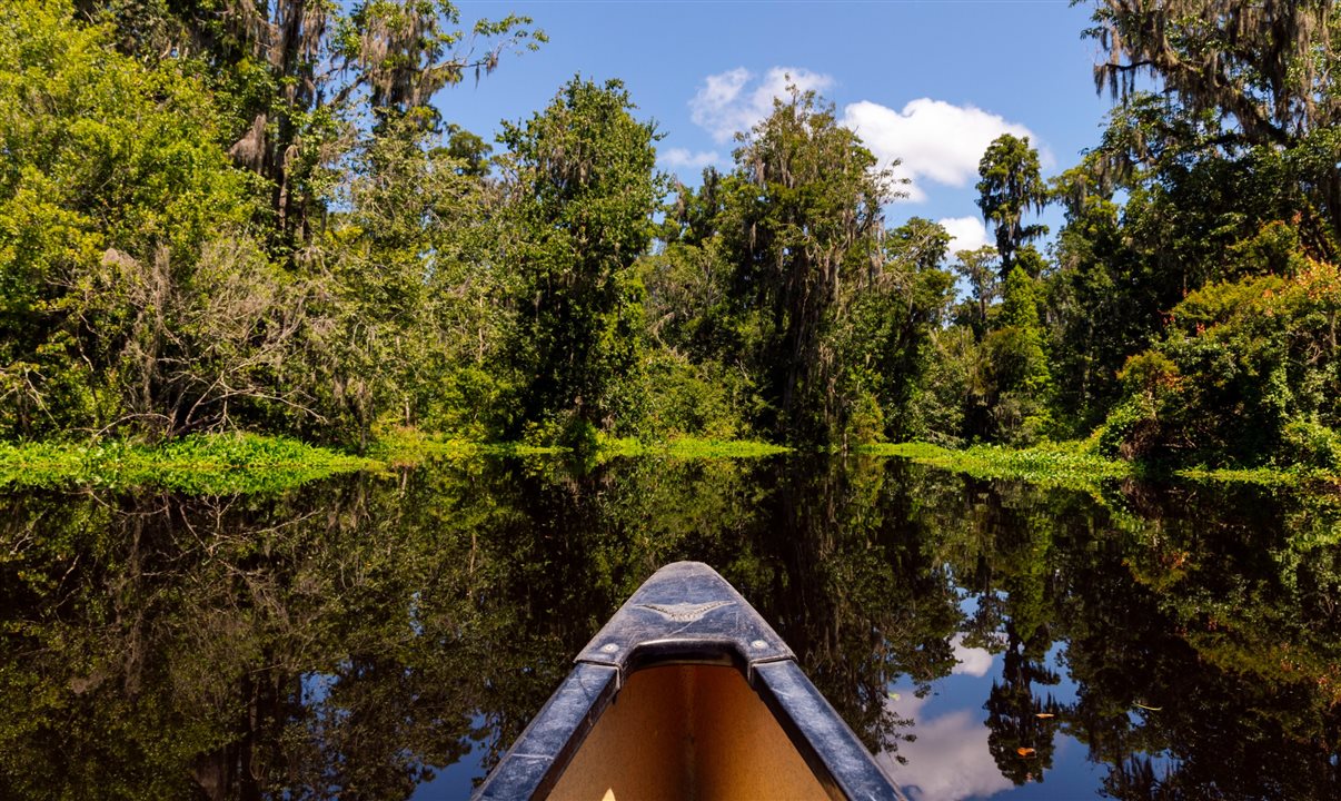 Os amantes da natureza também ficarão maravilhados com o destino