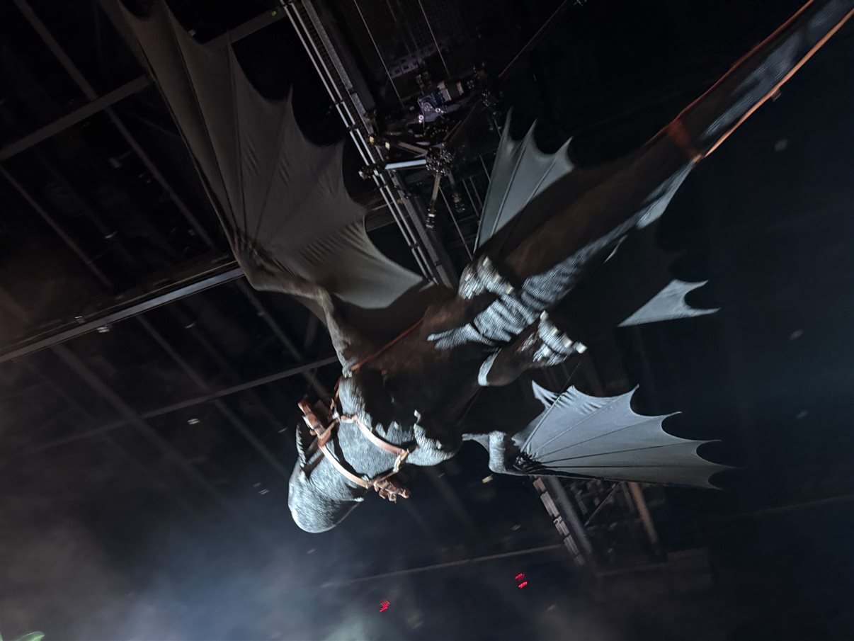 Show The Untrainable Dragon