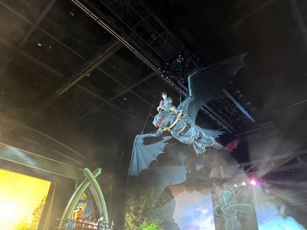 Show The Untrainable Dragon