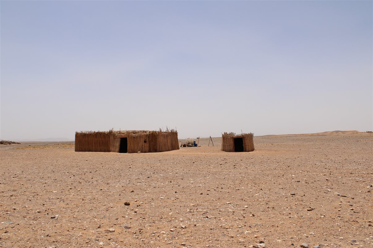 Prontos para uma ida ao deserto!