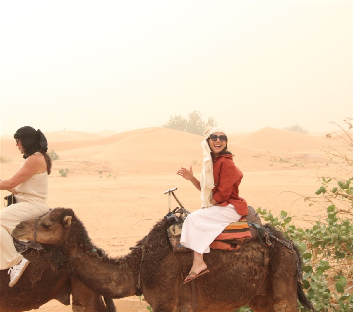 Prontos para uma ida ao deserto!