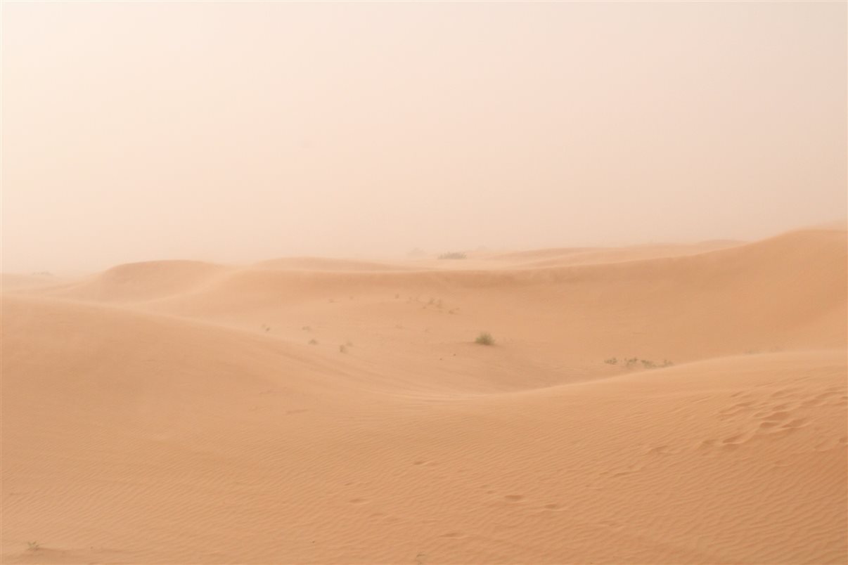 Prontos para uma ida ao deserto!