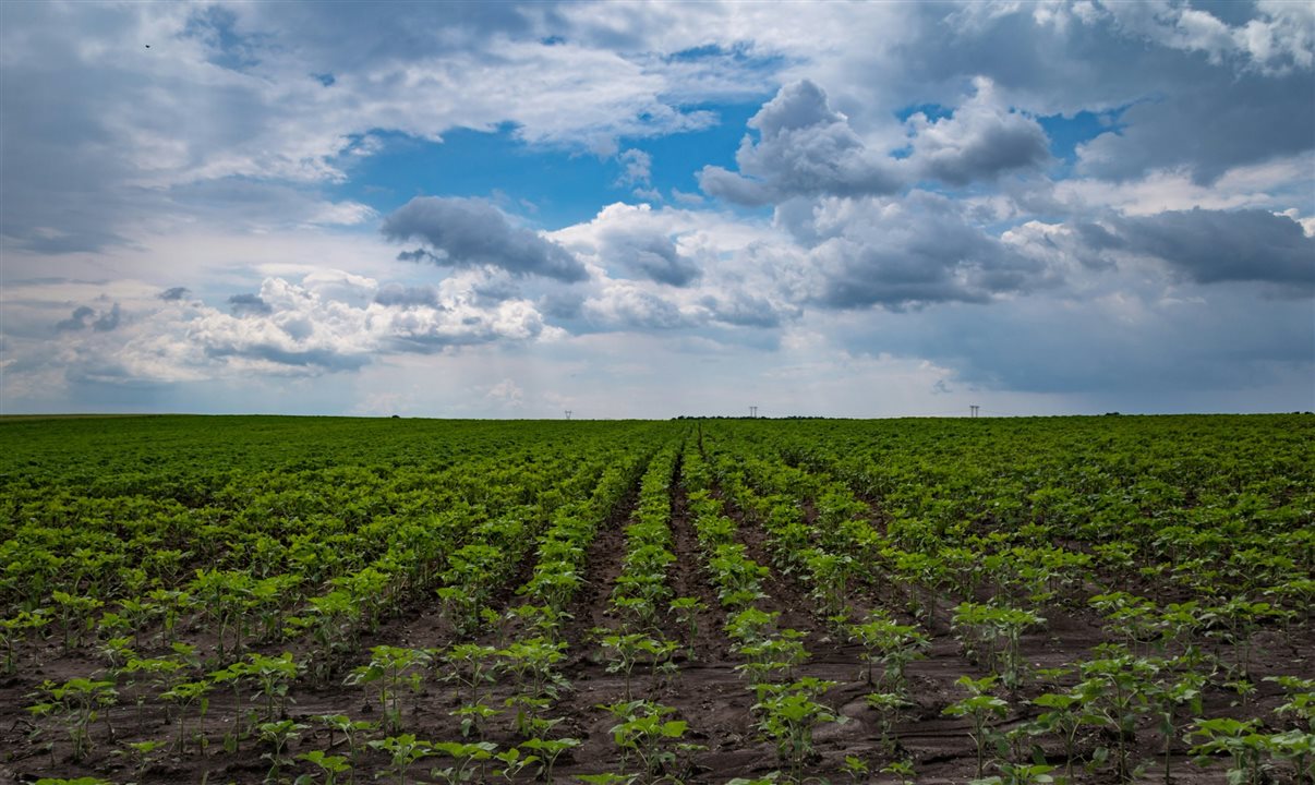 Agropecuária teve alta de 10,2% e puxou alta do PIB