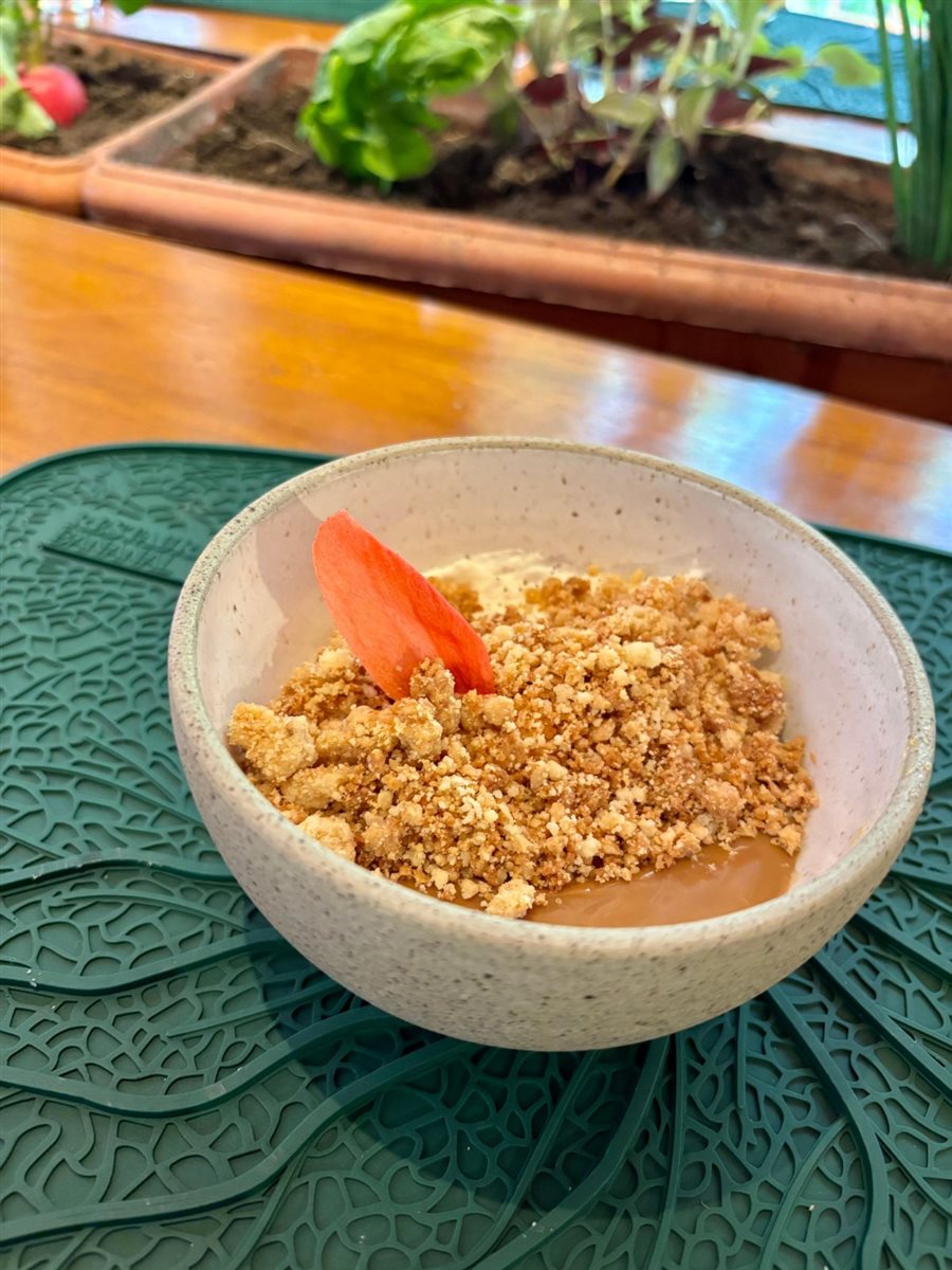 Cultivo de alface em estufa na Fazenda Bananal, a cerca de 20 minutos de Paraty (RJ)