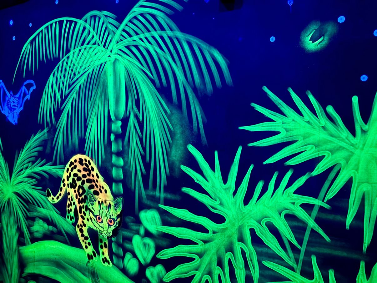 Cultivo de alface em estufa na Fazenda Bananal, a cerca de 20 minutos de Paraty (RJ)