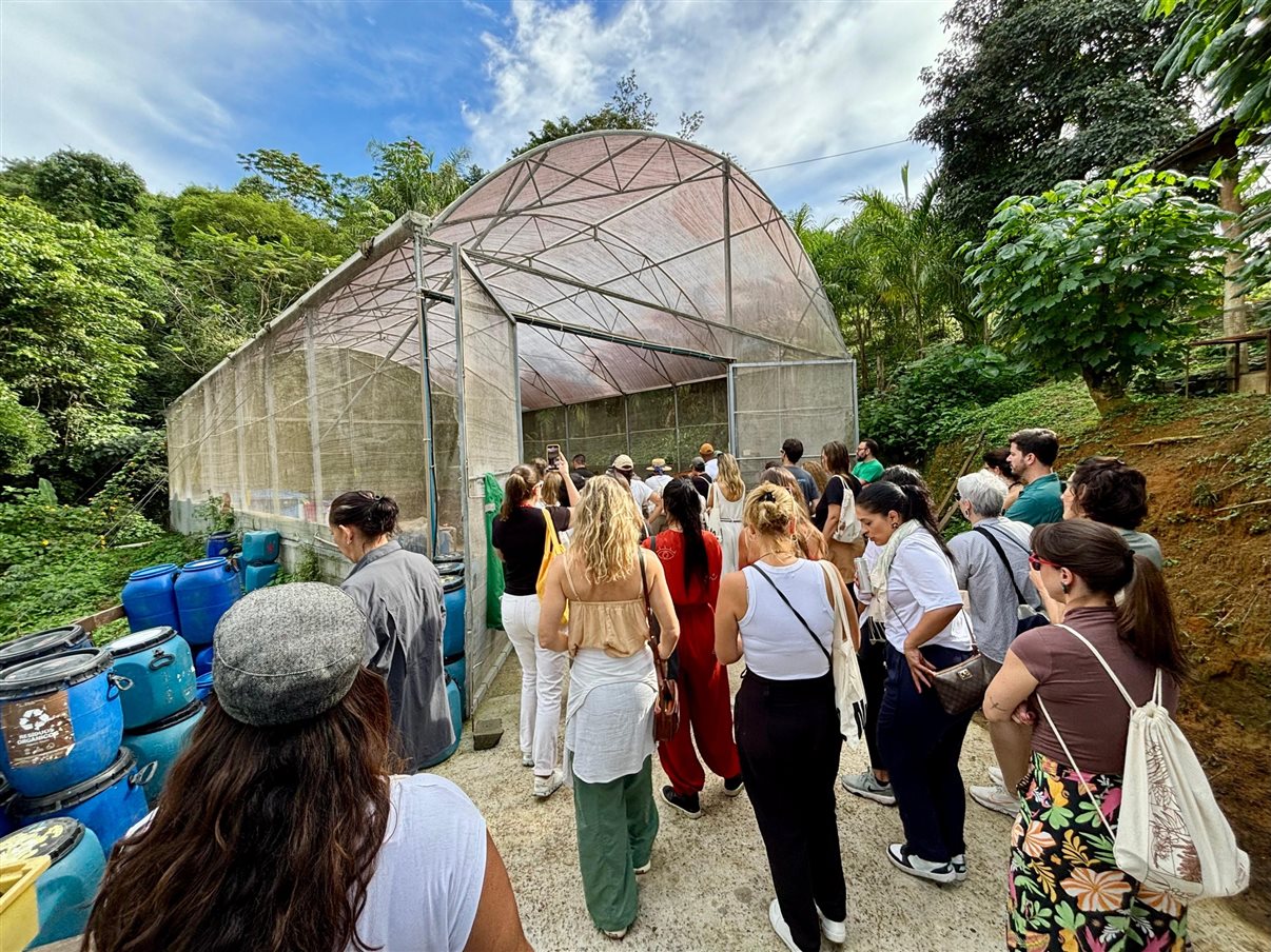 Cultivo de alface em estufa na Fazenda Bananal, a cerca de 20 minutos de Paraty (RJ)