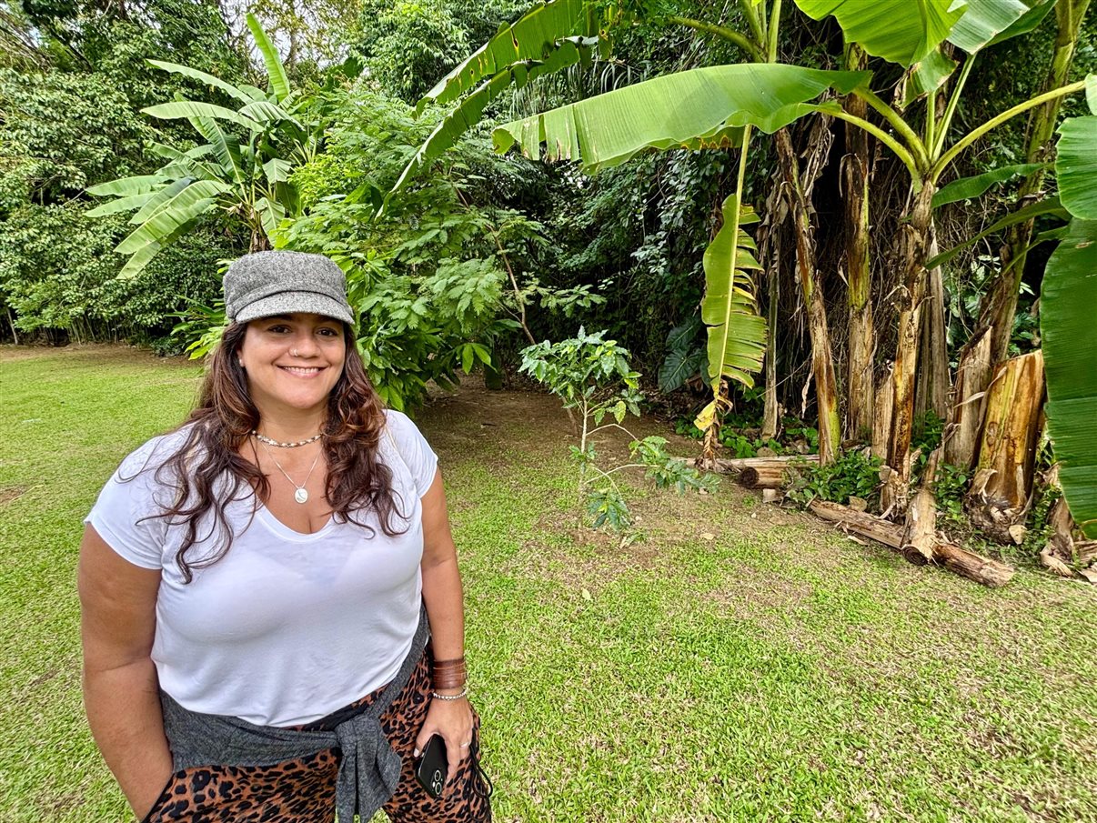 Cultivo de alface em estufa na Fazenda Bananal, a cerca de 20 minutos de Paraty (RJ)
