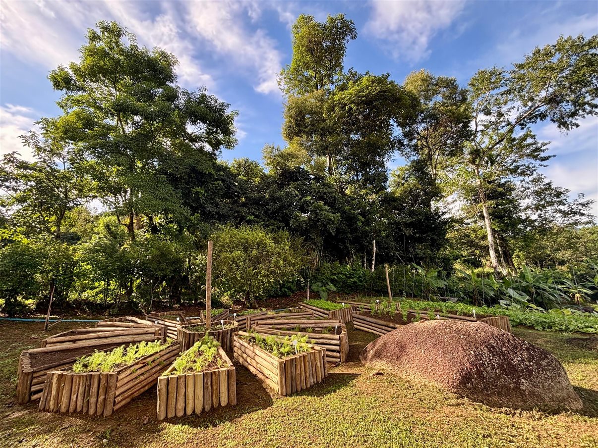 Cultivo de alface em estufa na Fazenda Bananal, a cerca de 20 minutos de Paraty (RJ)