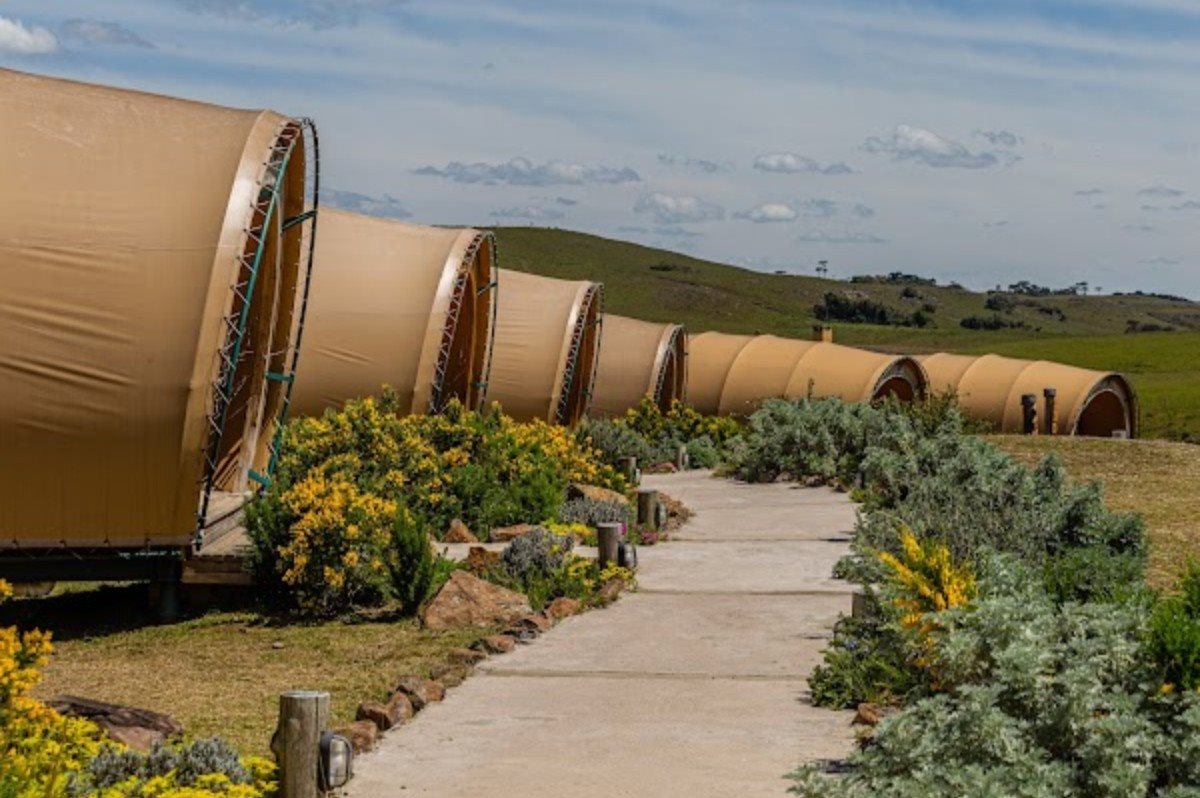 A agente de viagens Alice Assad com a mentora Rogéria Pinheiro