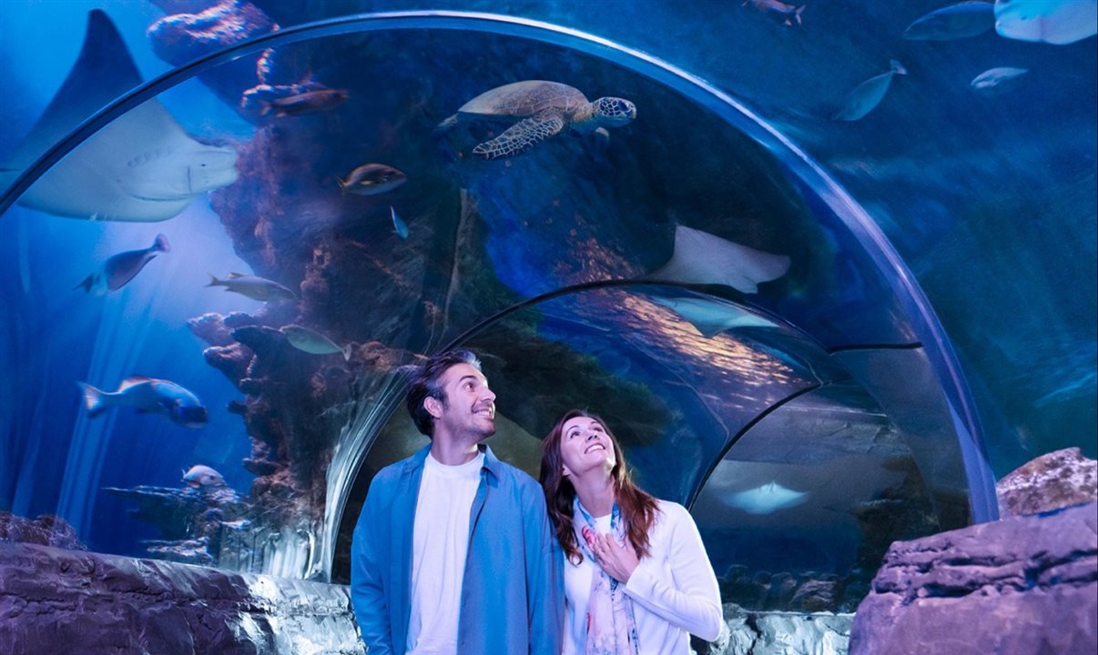 Sea Life Florida Aquarium