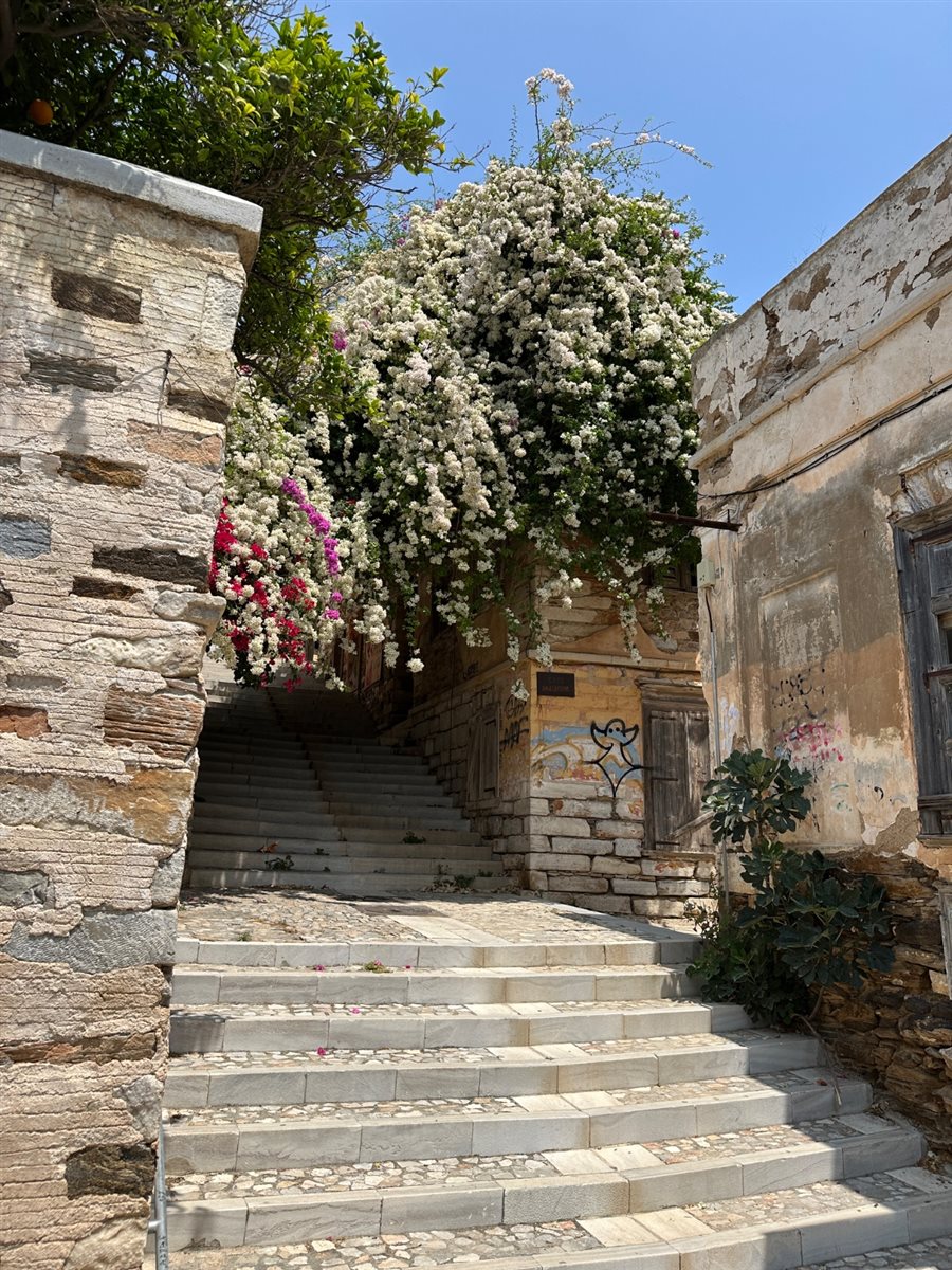 explora i - siros