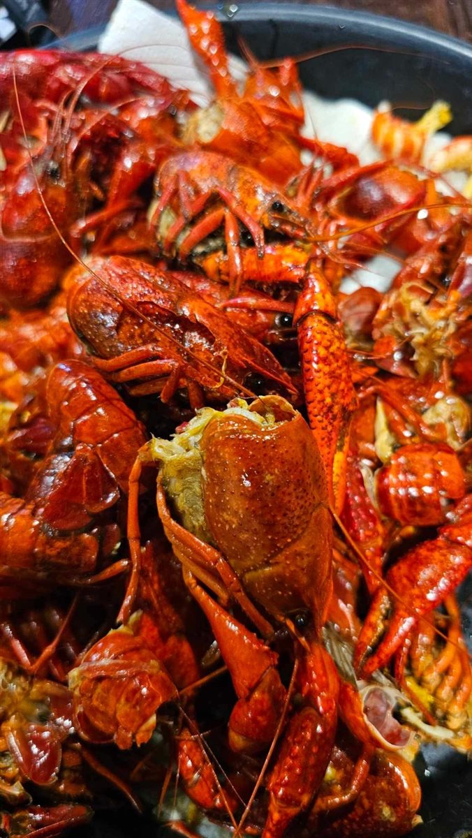 Hotel Mazarin, em Nova Orleans