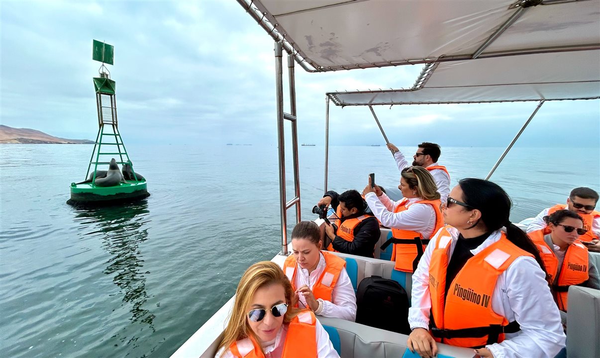 Grupo encontrou leões marinhos durante o tour