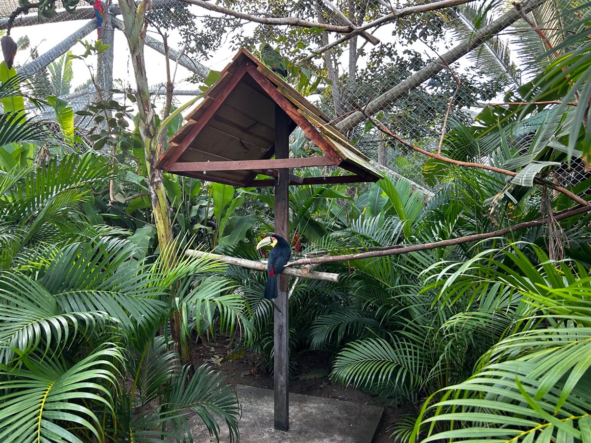 Detalhes do parque