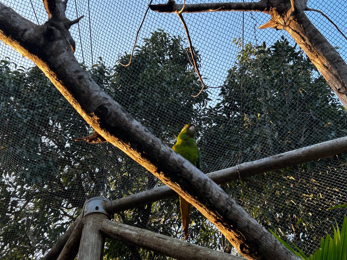 Detalhes do parque
