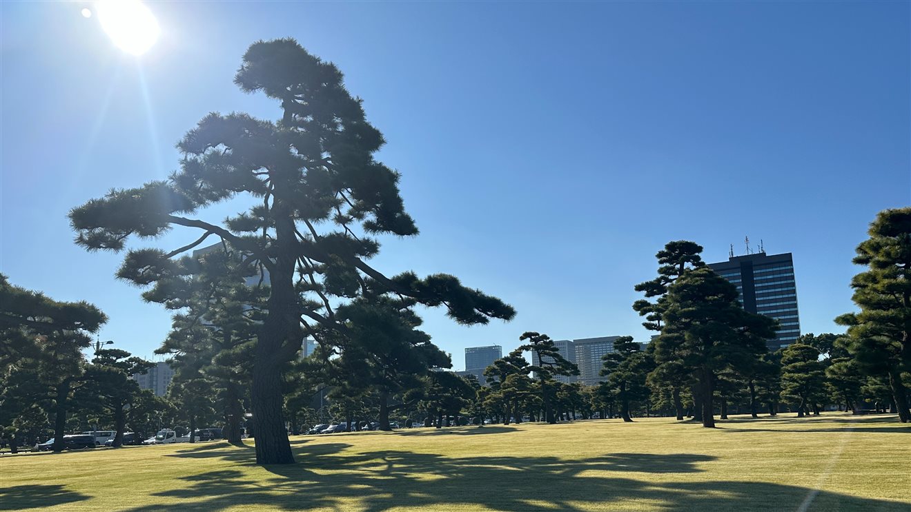 Jardim aos arredores do Palácio Imperial