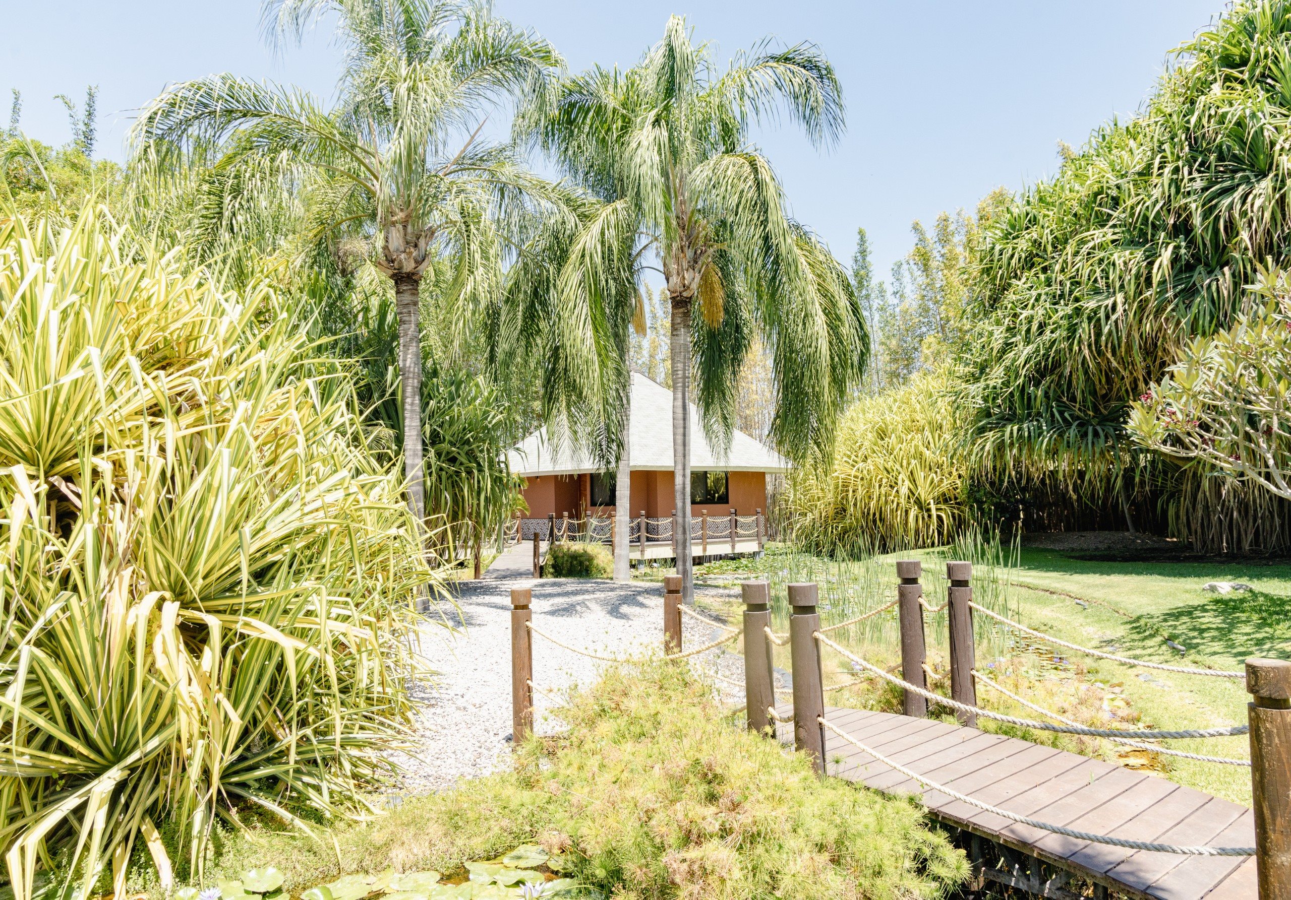 Soul Spring Sanctuary