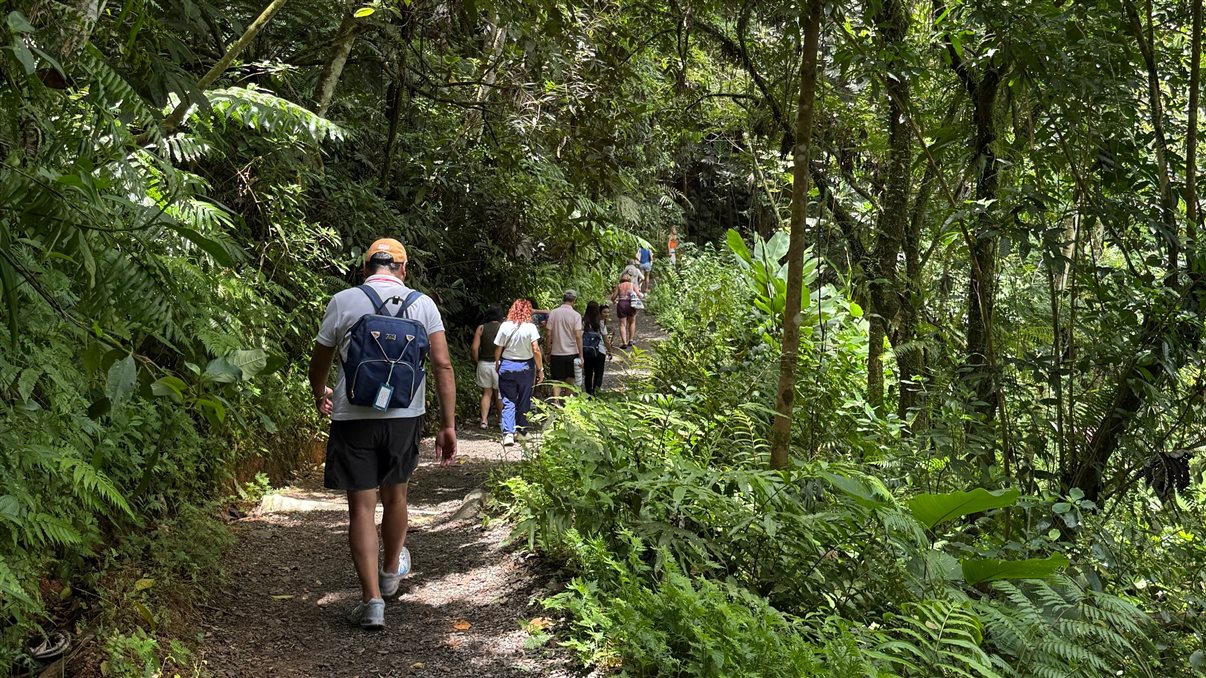 Cachoeira do El Yunque National Forest